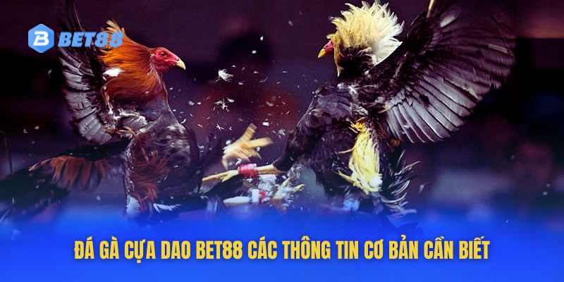 Đá Gà Cựa Dao BET88 - Chia Sẻ Bí Quyết Chơi Hiệu Quả